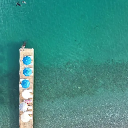 Lopera * Αδραμύττιο