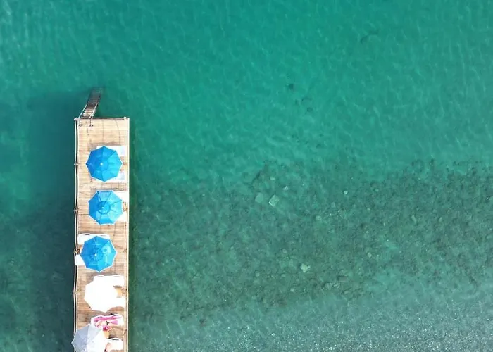 Lopera * エドレミト