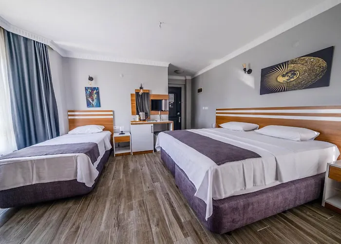 ホテル Lopera エドレミト