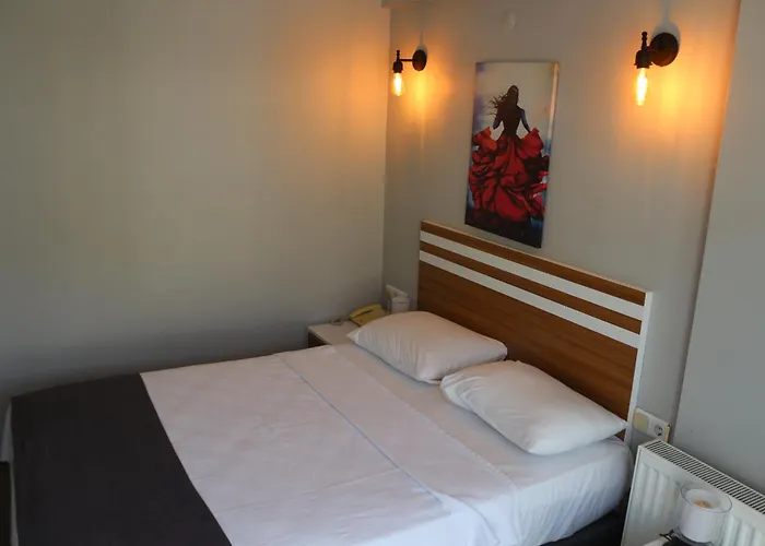 ホテル Lopera エドレミト