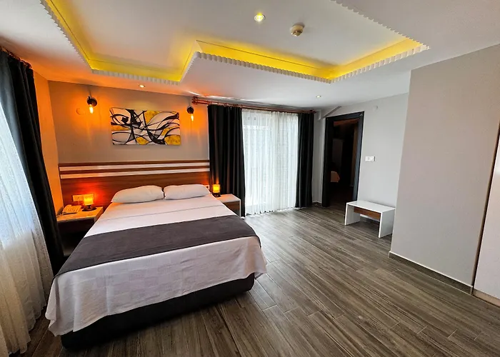 ホテル Lopera エドレミト